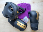 Sparring Gear Set